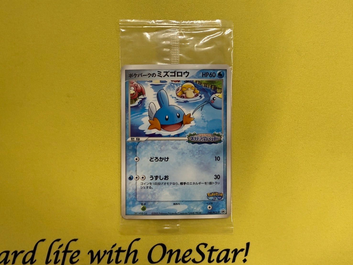 ポケパークのミズゴロウ PROMO 048/PCG-P - メルカリ