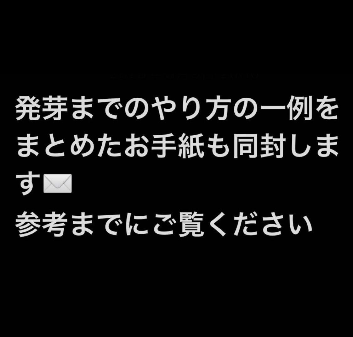 10%off【12粒】アガベ オテロイ 種 オアハカ産 ネイティブシード from