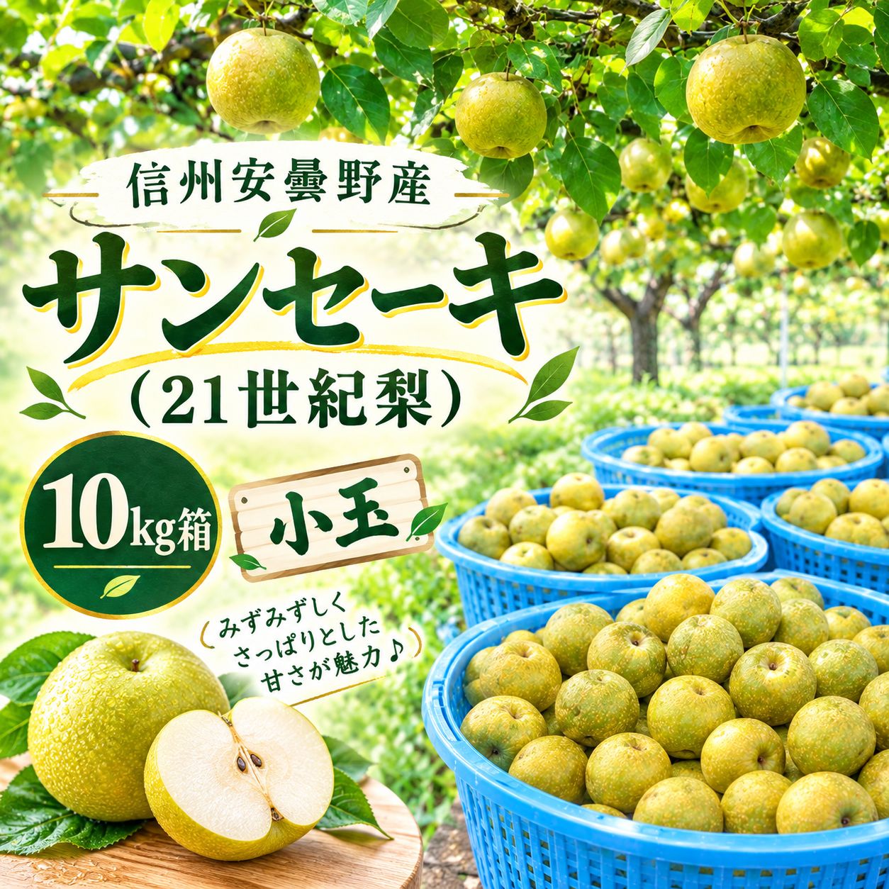 信州安曇野産 サンセーキ梨（21世紀梨）【小玉】10kg箱 - メルカリ