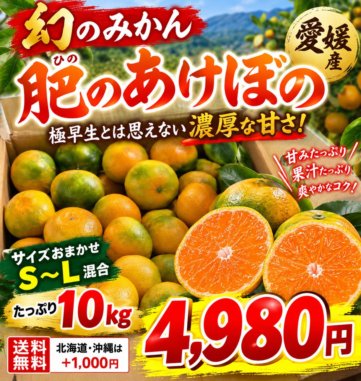 🍊🍊 幻のみかん‼️ 肥のあけぼの 🍊🍊 ✨ 愛媛県産・数量限定販売