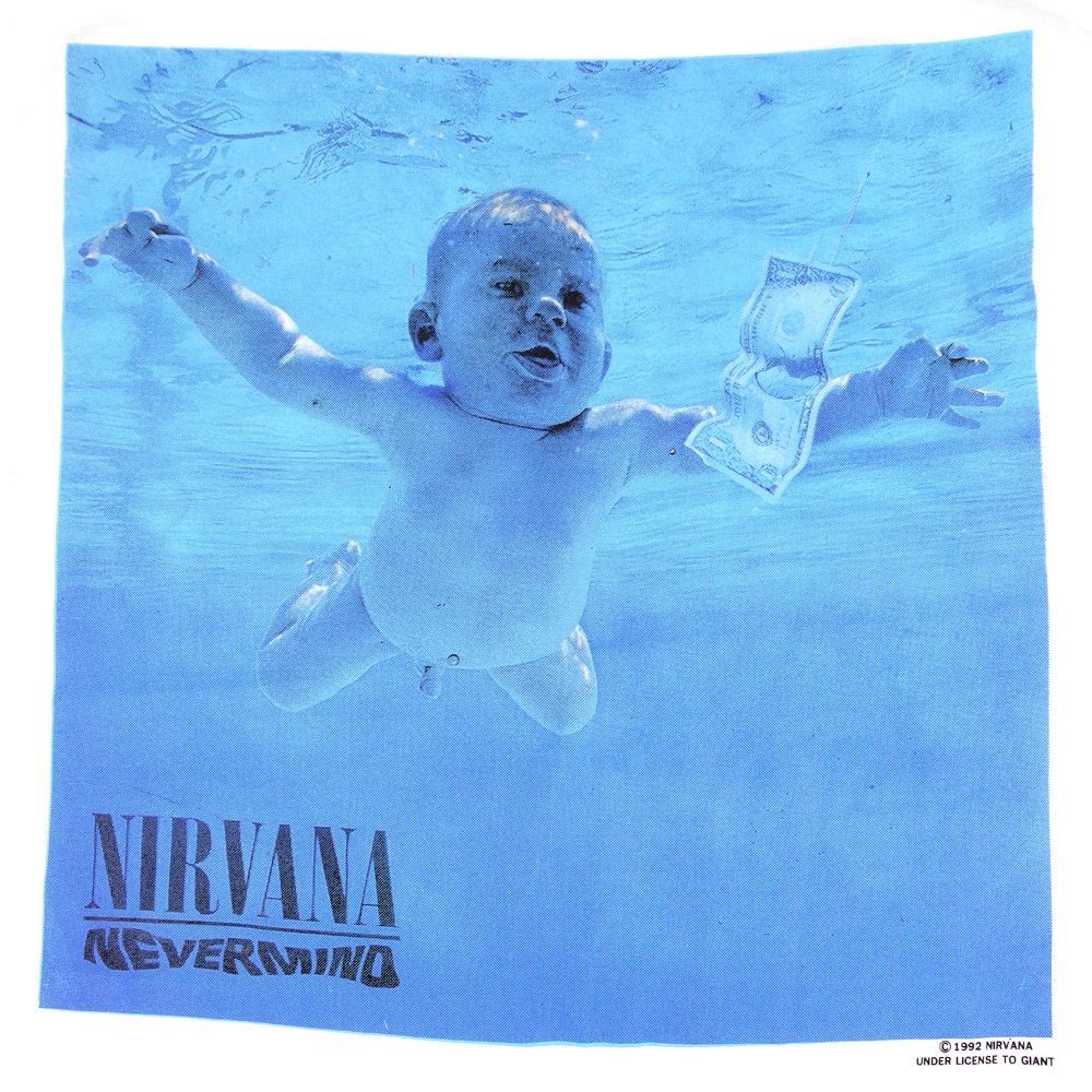 NIRVANA Nevermind ロンT L ニルヴァーナ 288 NIRVANA ニルヴァーナ ロンT 長袖 Tシャツ 美品 USA製 ホワイト L