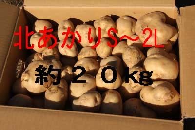訳あり北あかりS〜L混合約20kg - メルカリ