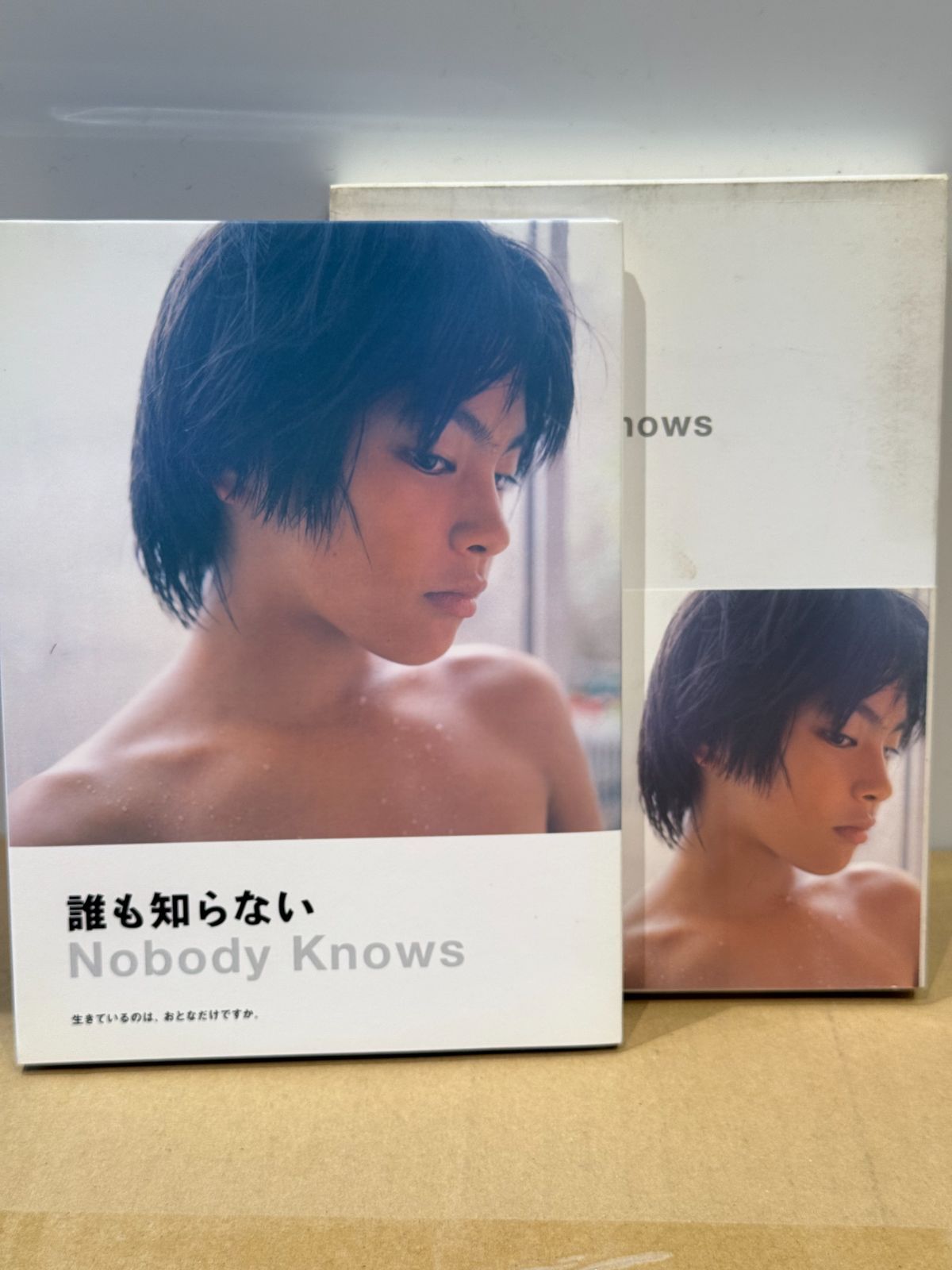 誰も知らない DVD 2枚組 是枝裕和監督 - メルカリ
