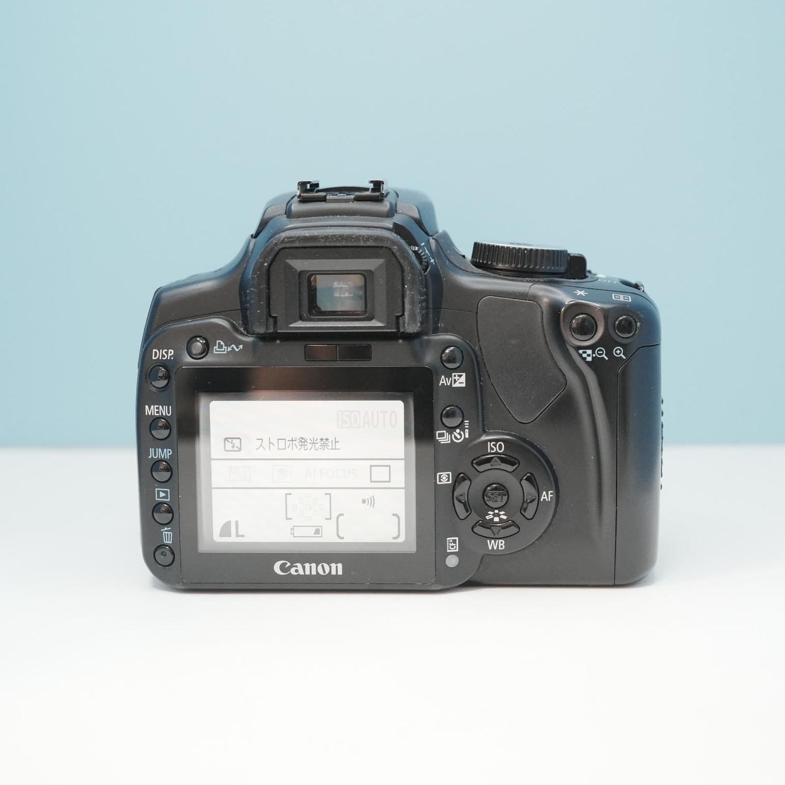Canon EOS kiss Digital X 一眼レフ スマホ転送OK フルセット シロクマ