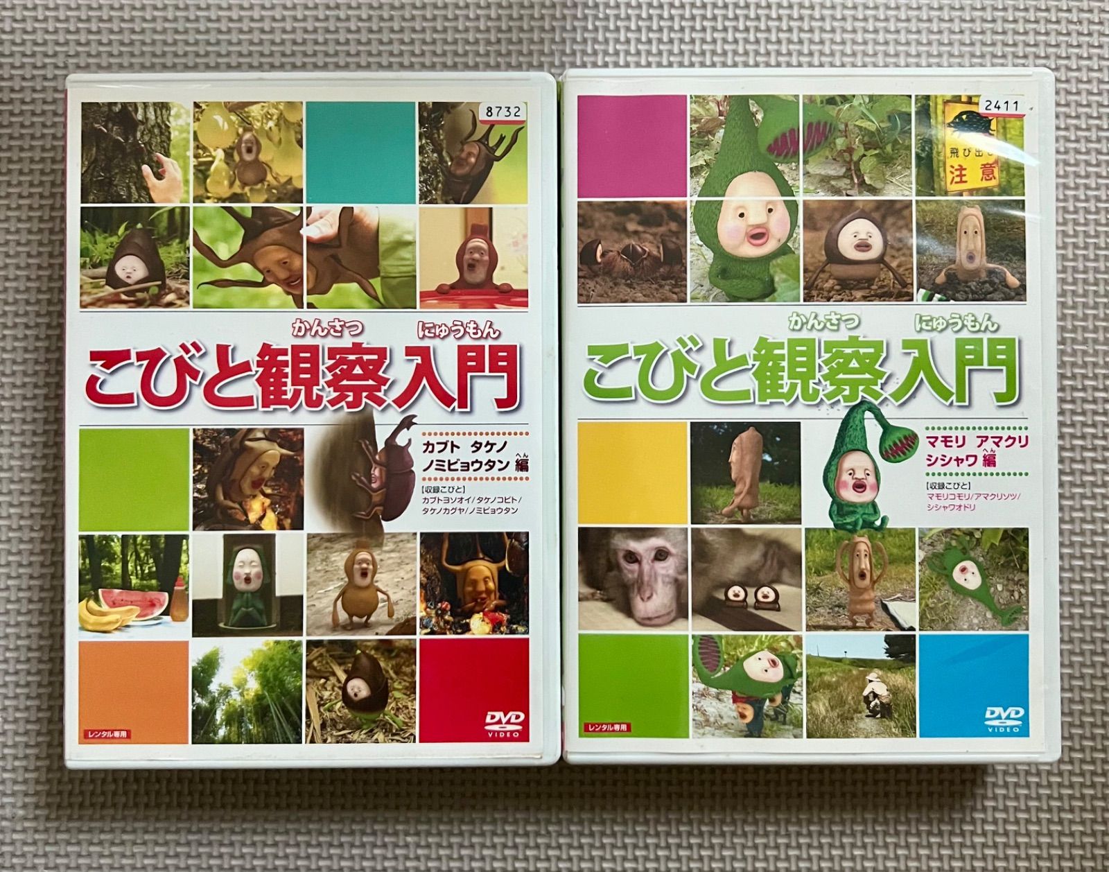 セット】 こびと観察入門 こびとづかん みんなのこびと DVD 本 セット