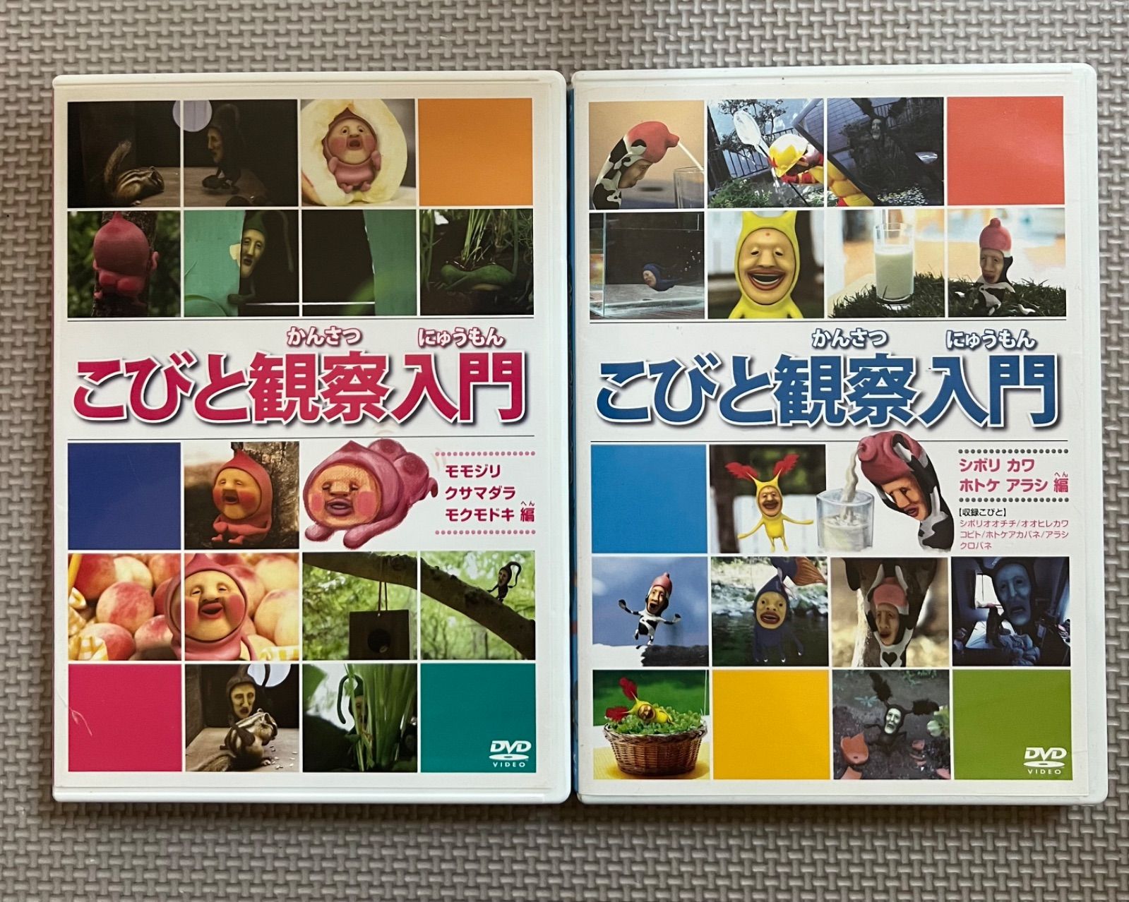 セット】 こびと観察入門 こびとづかん みんなのこびと DVD 本 セット