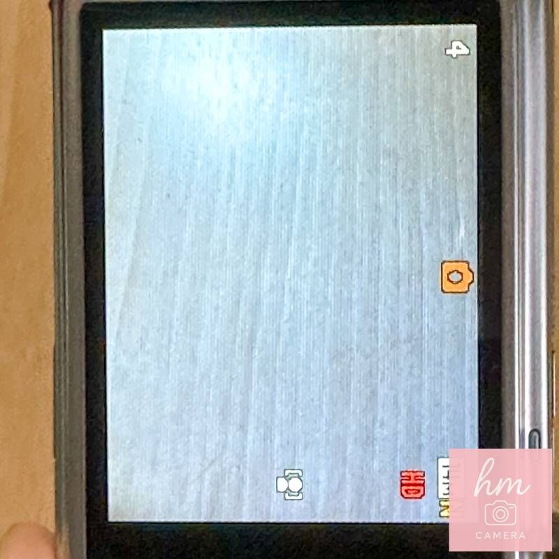 CASIO EXILIM ZOOM EX-Z680 シルバー 1410万画素 光学5倍ズーム 広角