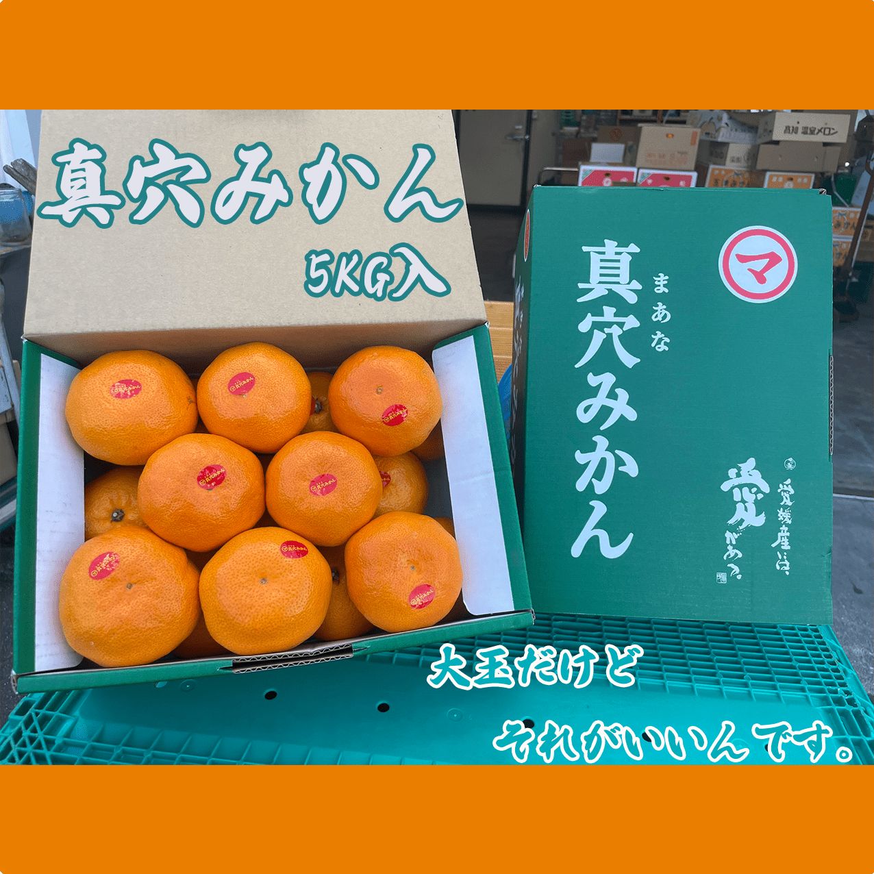 真穴みかん 5Kg 新品 - メルカリ