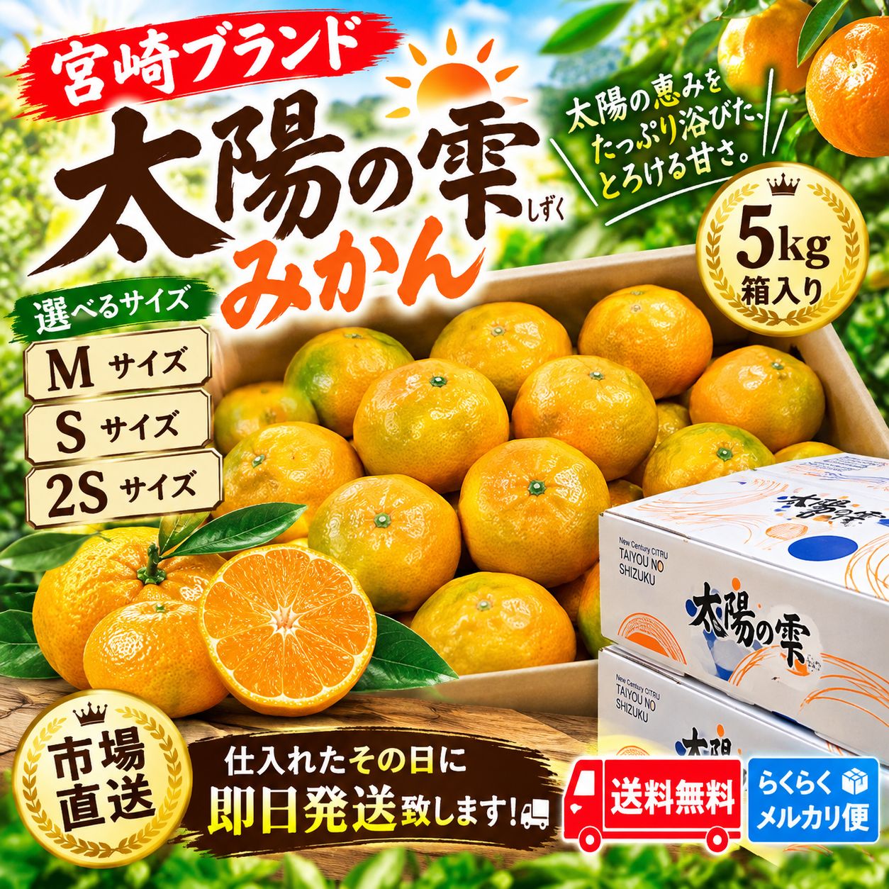 宮崎ブランド 太陽の雫みかん 5kg箱 新品 - メルカリ