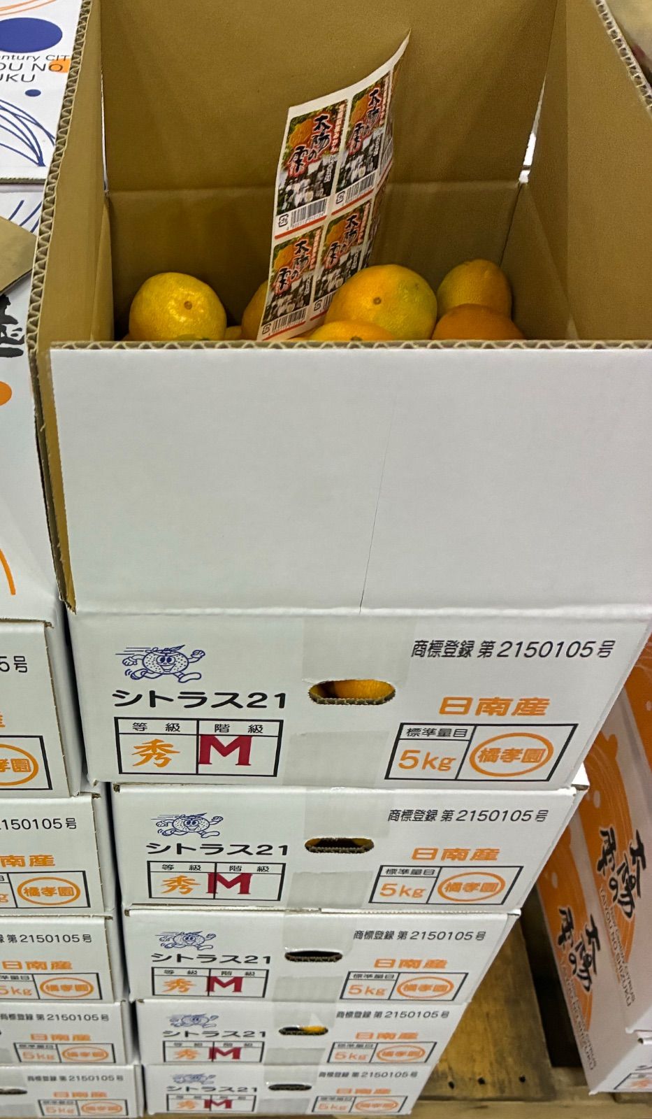 宮崎ブランド 太陽の雫みかん 5kg箱 新品 - メルカリ