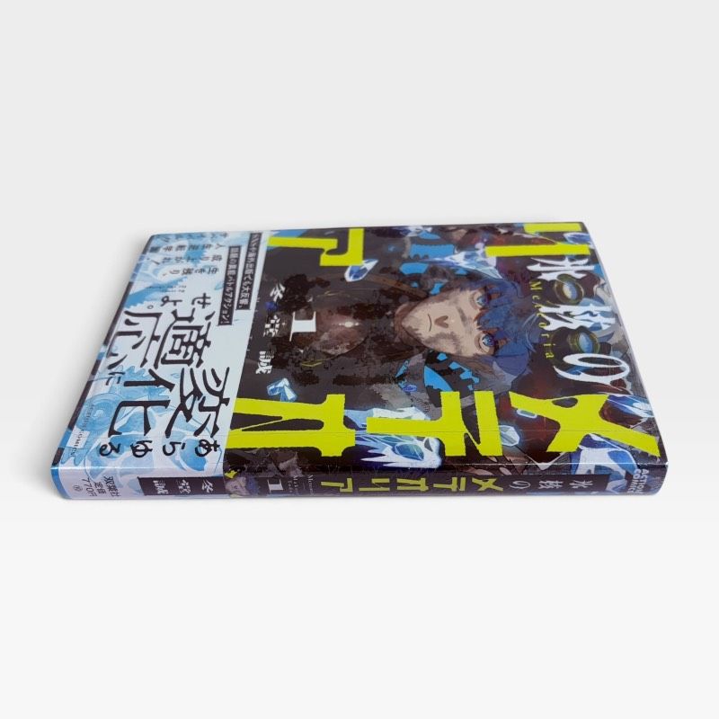 【初版・シュリンク付き】氷核のメテオリア １〜４巻 全巻セット 冬堂誠 氷核のメテオリア 1巻 初版 シュリンク 帯付き 冬堂誠 アクション