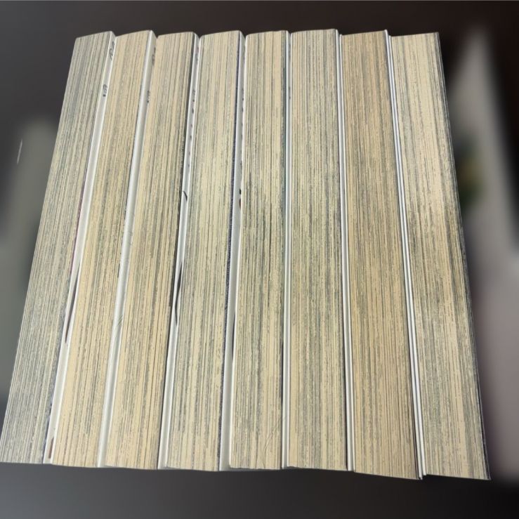 吸血鬼ハンターD バンパイアハンターD 全巻 1-8巻 - メルカリ