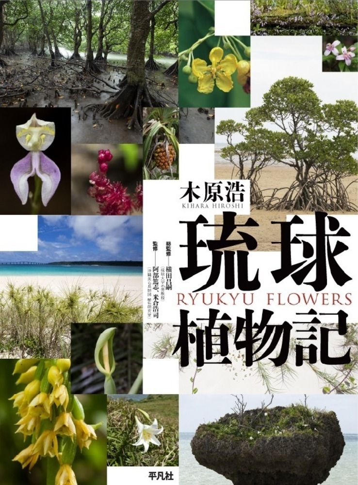 琉球植物記（大型本）