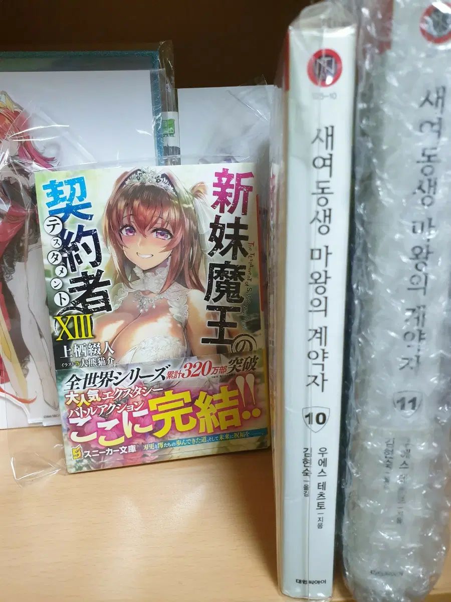 ラノベ 新レディース 魔王の 契約者 10 11 巻 13 願書