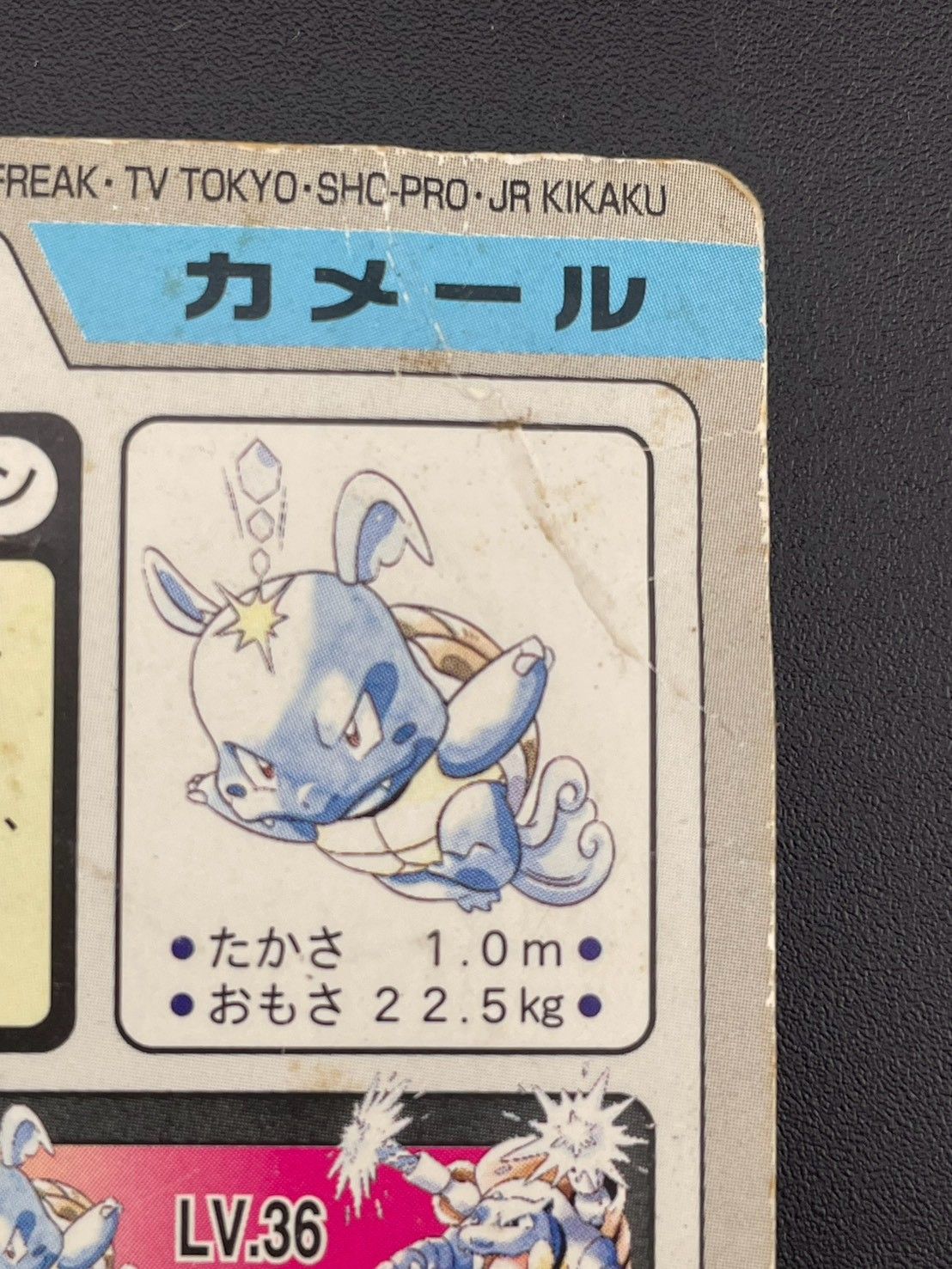 中古品】 カメール No.008 カードダス ポケモンカード - メルカリ