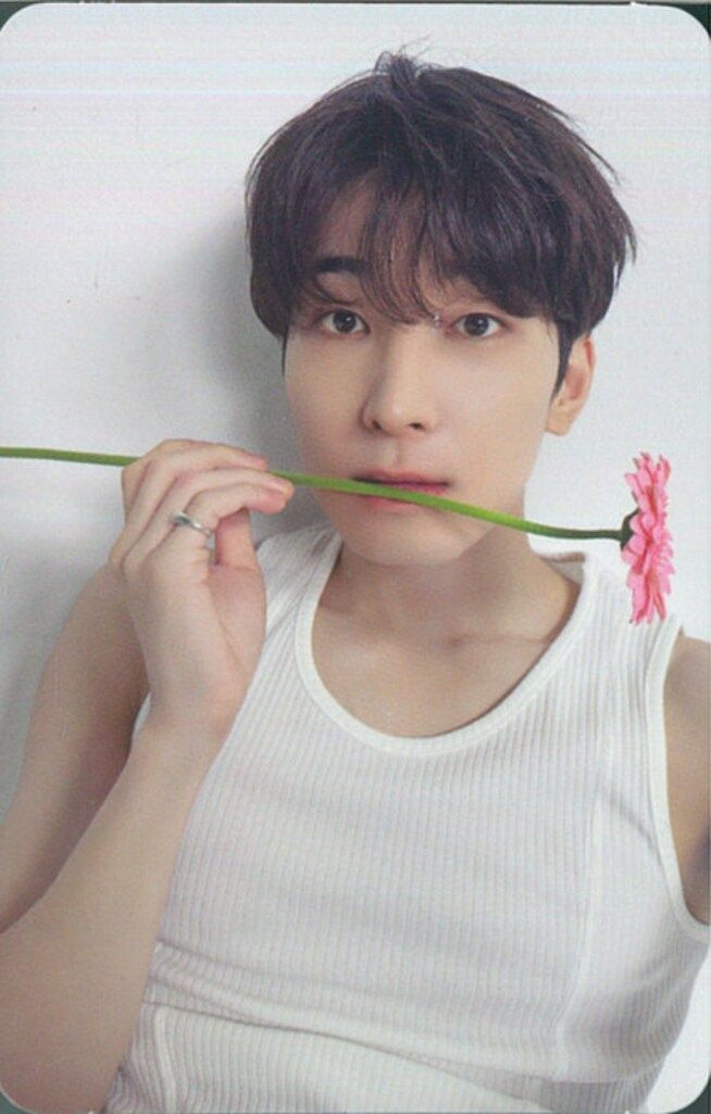 SEVENTEEN 17 IS RIGHT HERE WONWOO Trading Card DEAR ‐ Mercari