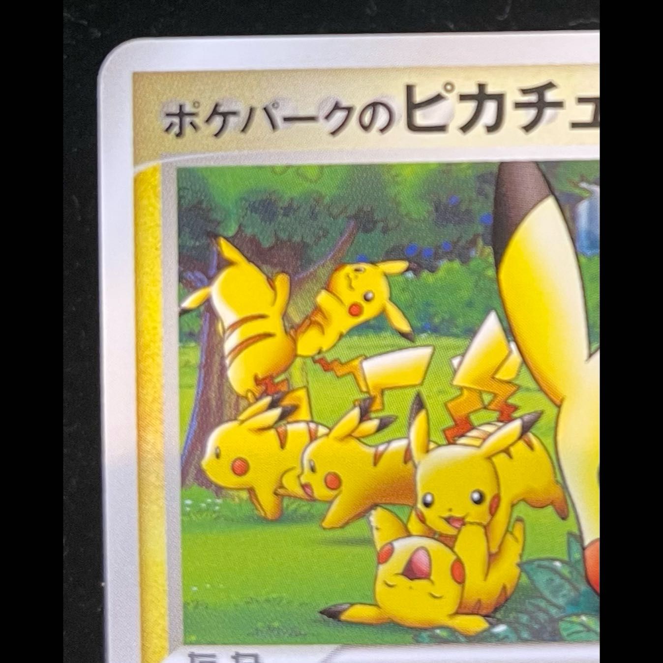 ポケパークのピカチュウ ポケパーク アトラクション限定カード PROMO