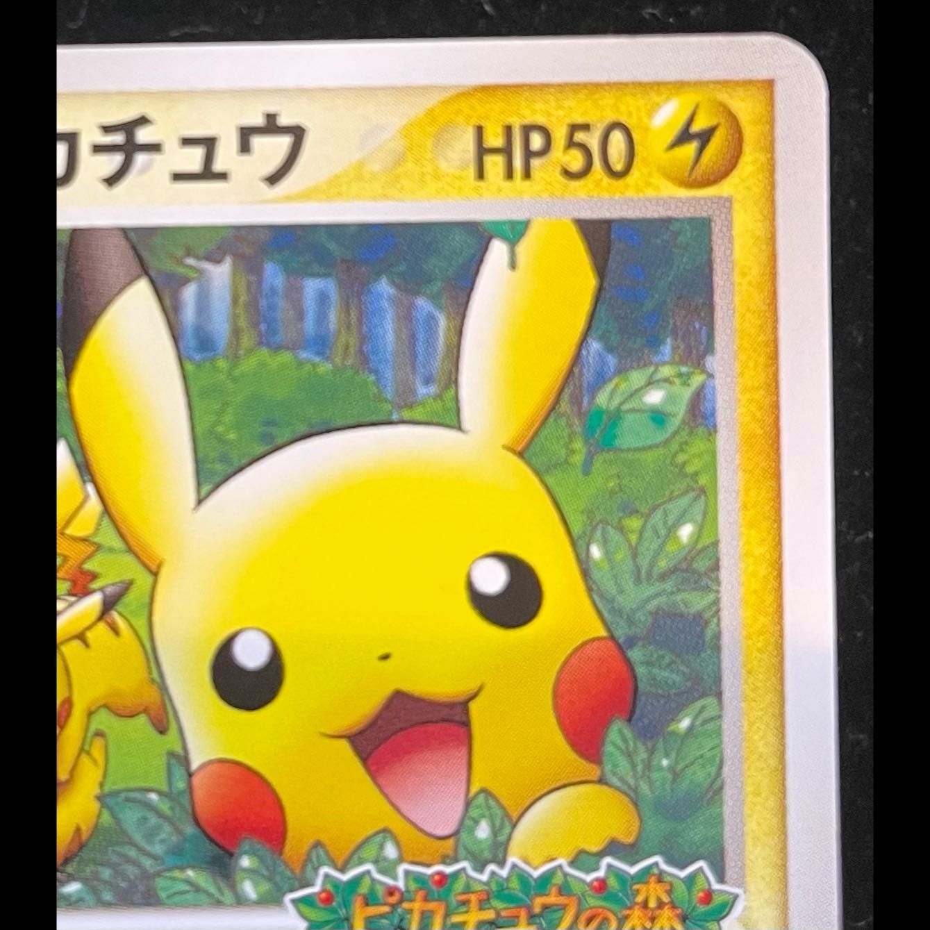 ポケパークのピカチュウ ポケパーク アトラクション限定カード PROMO