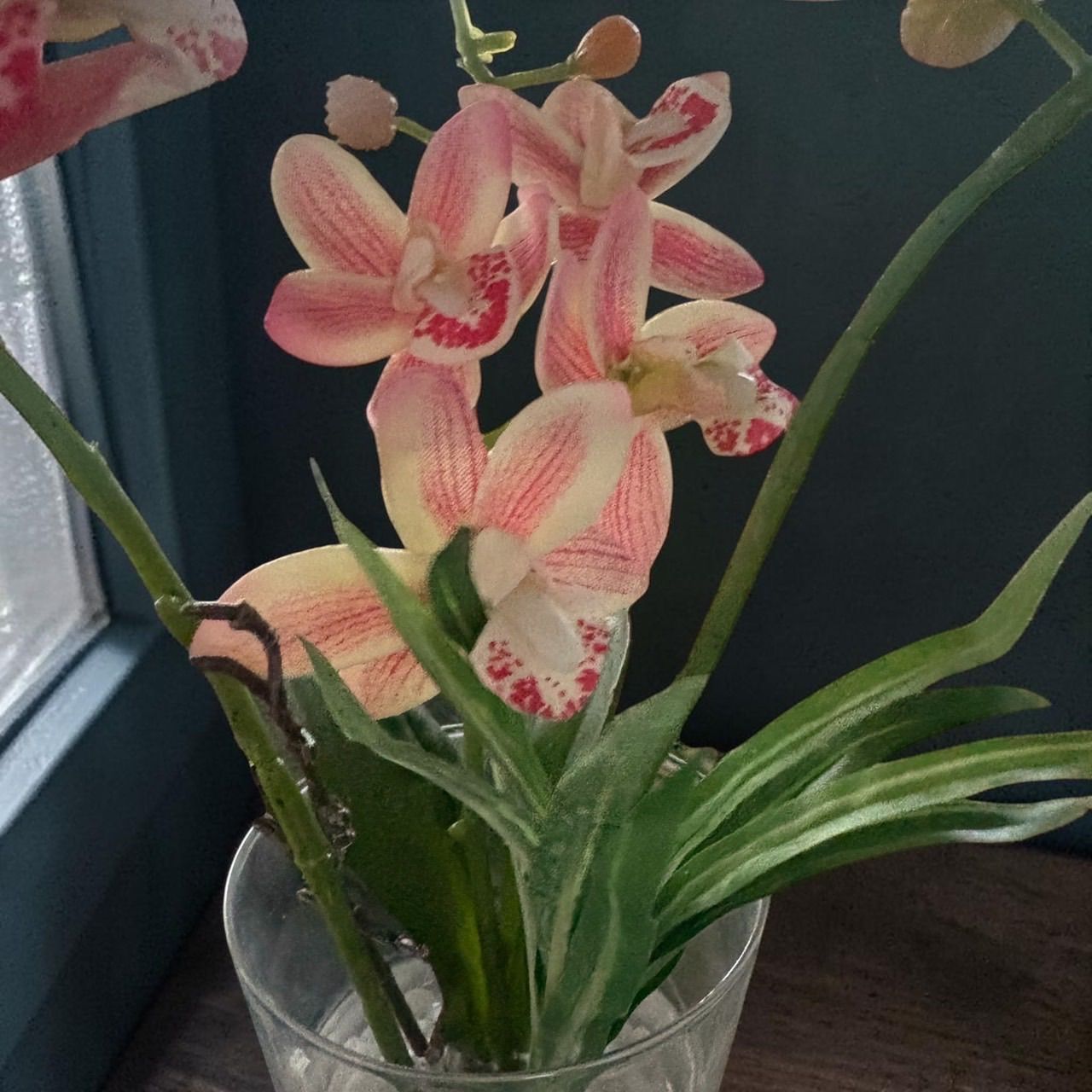 光触媒 観葉植物 ウォールグリーン フェイクグリーン マジカル