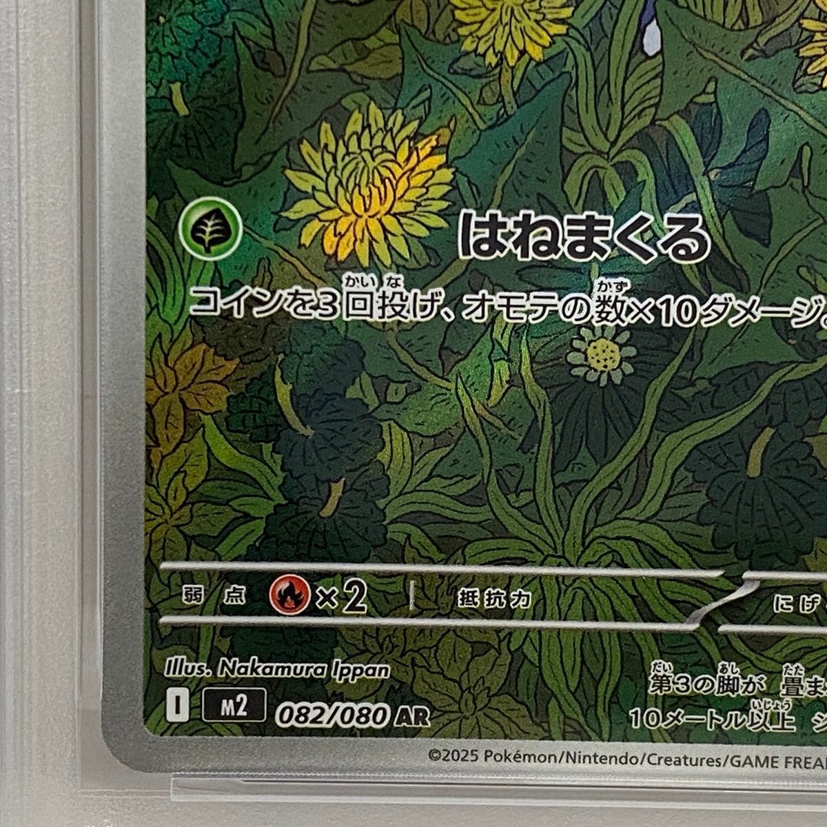 加古川店】 中古 トレーディングカード PSA10 マメバッタ AR 082