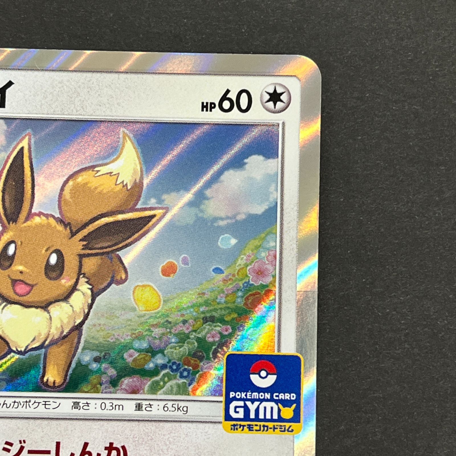 N080[PK]Y6497(ポケモンカード) イーブイ 245/SM-P ポケモンカードジム