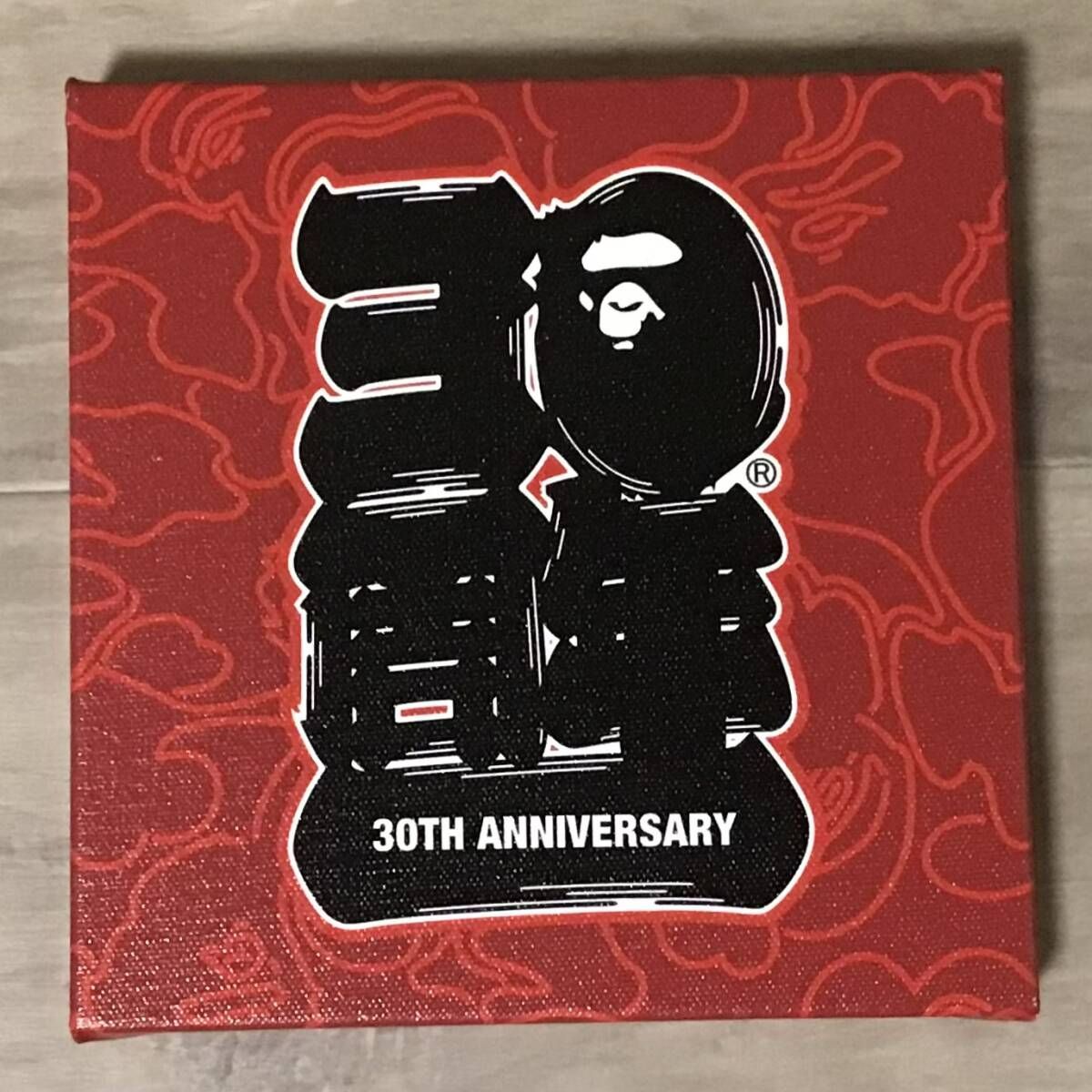 ア ベイシングエイプ 20周年記念キャンバスアート SKATETHING 小 ア ベイシングエイプ 20周年記念キャンバスアート SKATETHING 小 BAPE