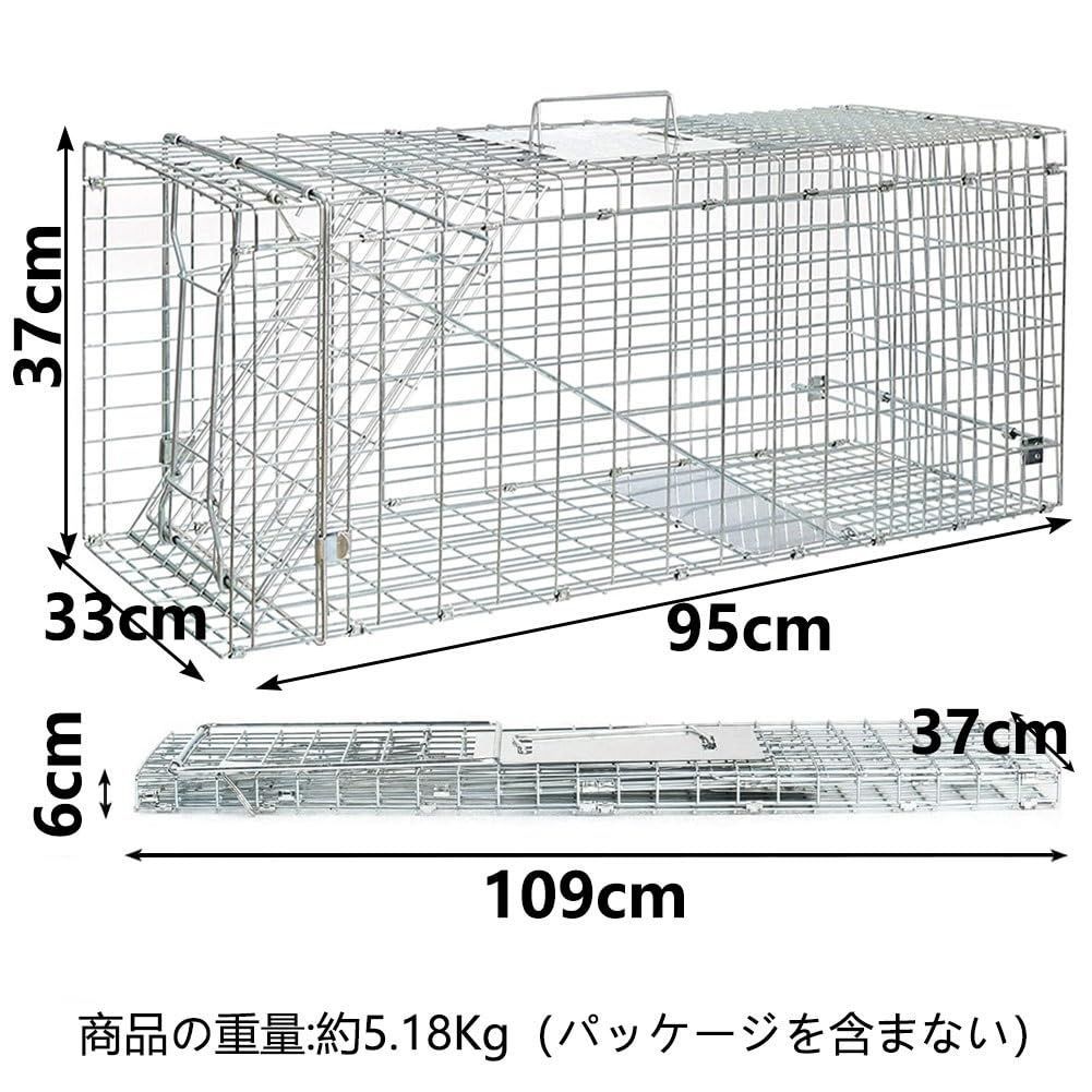 野良猫