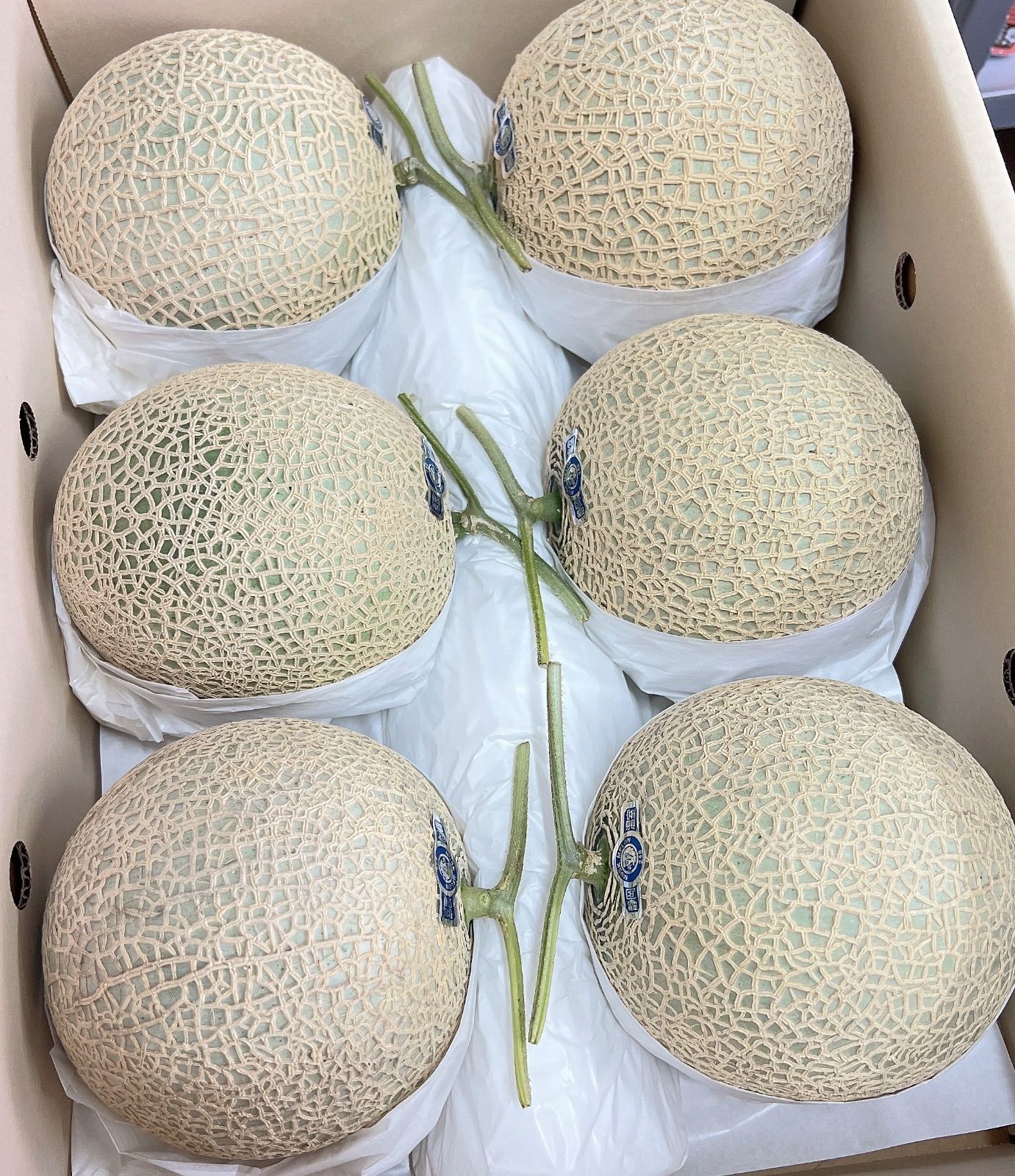 激安アウトレット通販 ライオンメロン 温室マスクメロン 高級メロン 温室メロン 果物