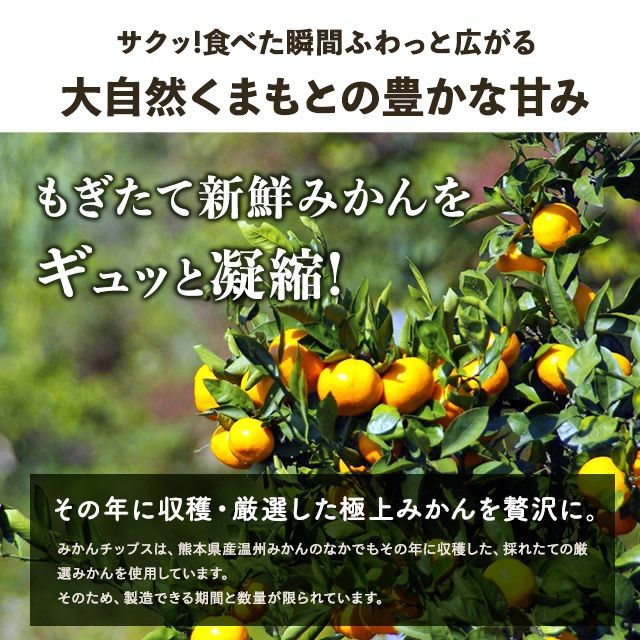 【セット】ドライフルーツ 30g＋30g割れ みかんチップス-5