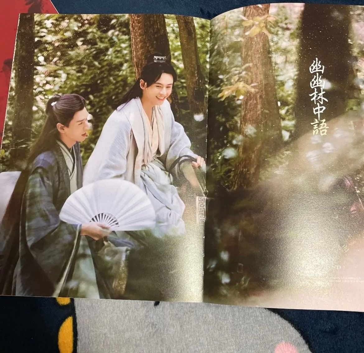 公式正規品 山河令 「水龍吟」 写真集 photobook - メルカリ