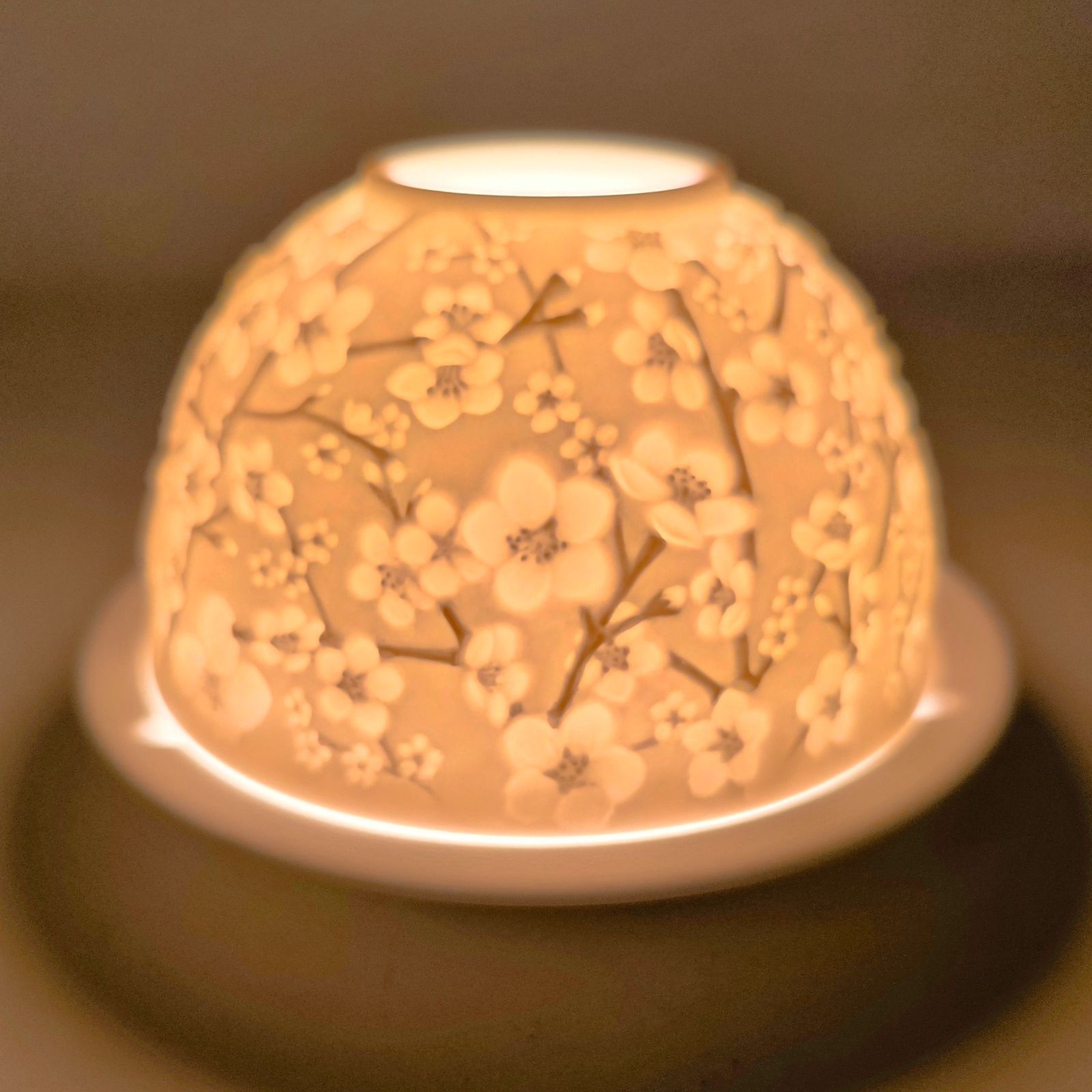 ベルナルド LITHOPHANIE リトファニーLED チェリーブラッサム 完備 LED照明