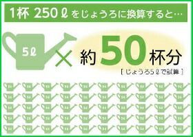 家庭菜園