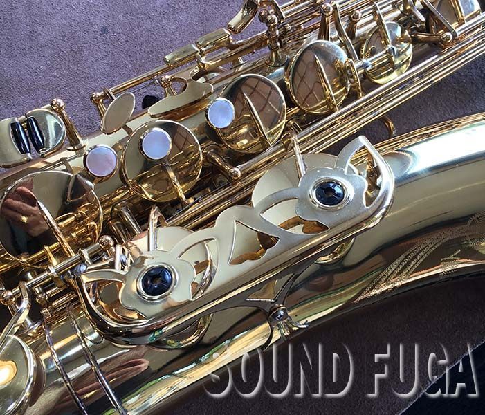 YANAGISAWA T-500