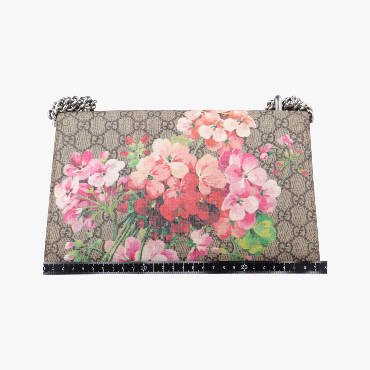 グッチGucciディオニュソスベージュ×レッド×マルチ PVCコーティングキャンバス × スエード400249E019170211