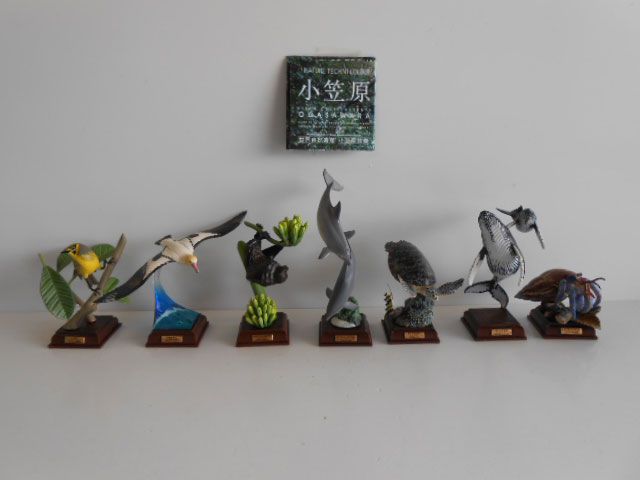 @ 即購入  ♯Jti11PZネイチャーテクニカラー小笠原7種-【新着アイテム】