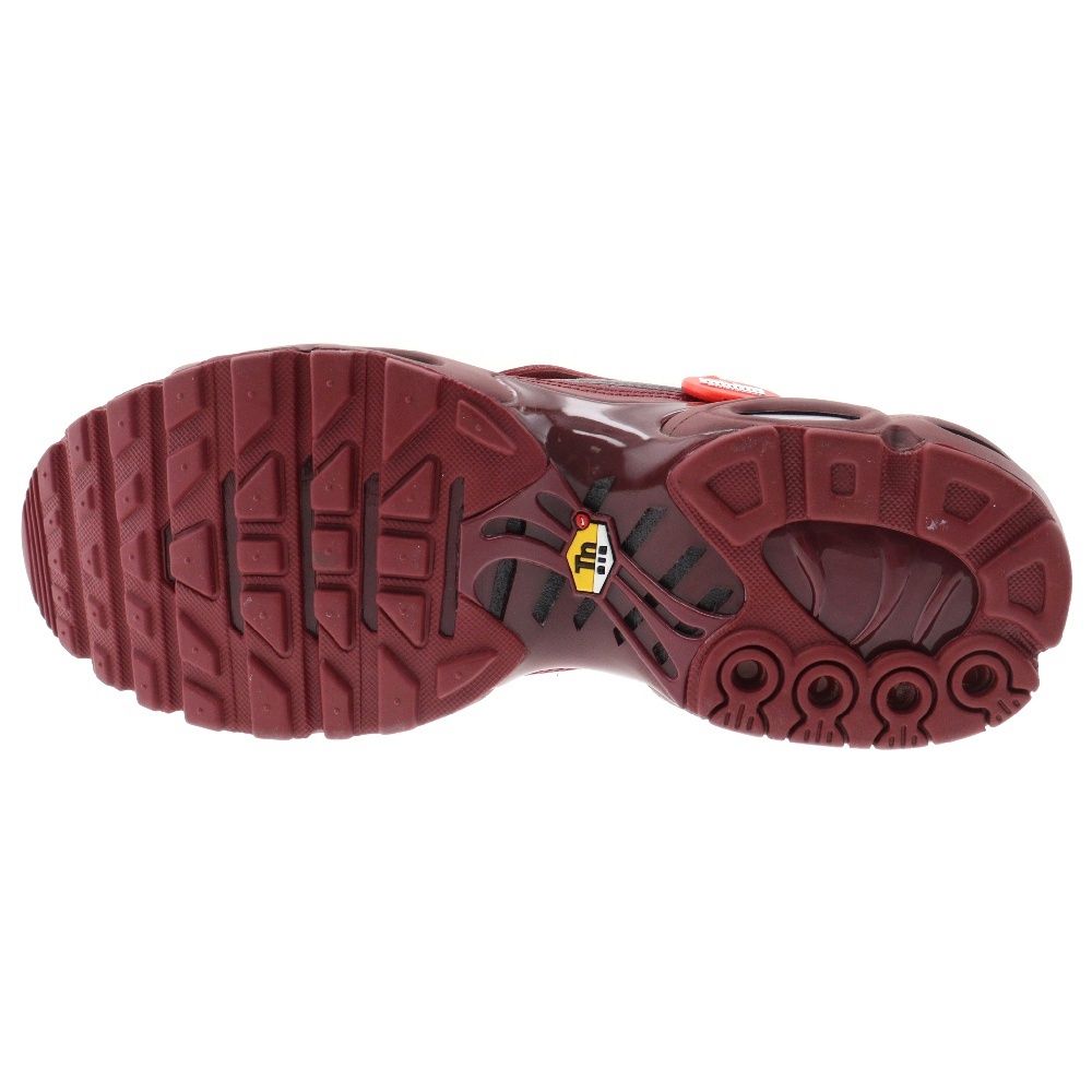 NIKE (ナイキ) AIR MAX PLUS HM5654-600 エアマックスプラス