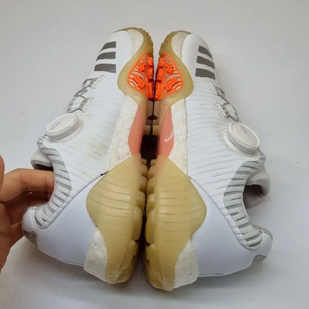 コードテイオス ボア