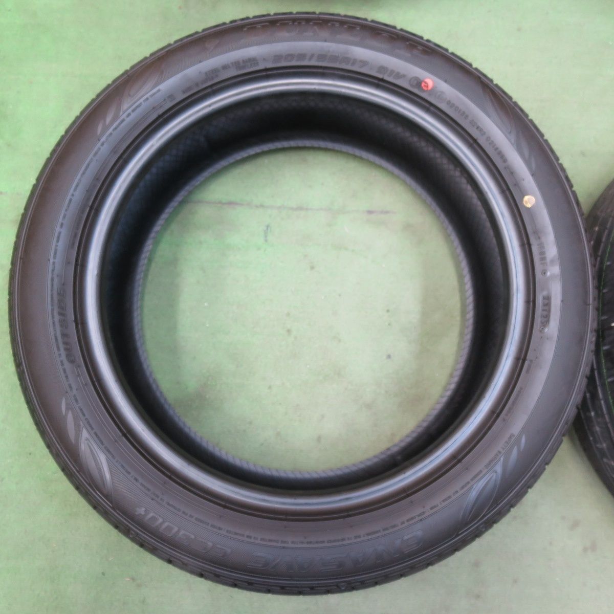 エナセーブ EC300