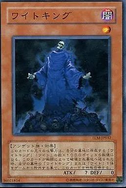 遊戯王 中国語版 ワイトキング ワイトプリンス ワイトロード 遊戯王 ワイトキング シークレット 中国語 簡体字の通販 ゆき