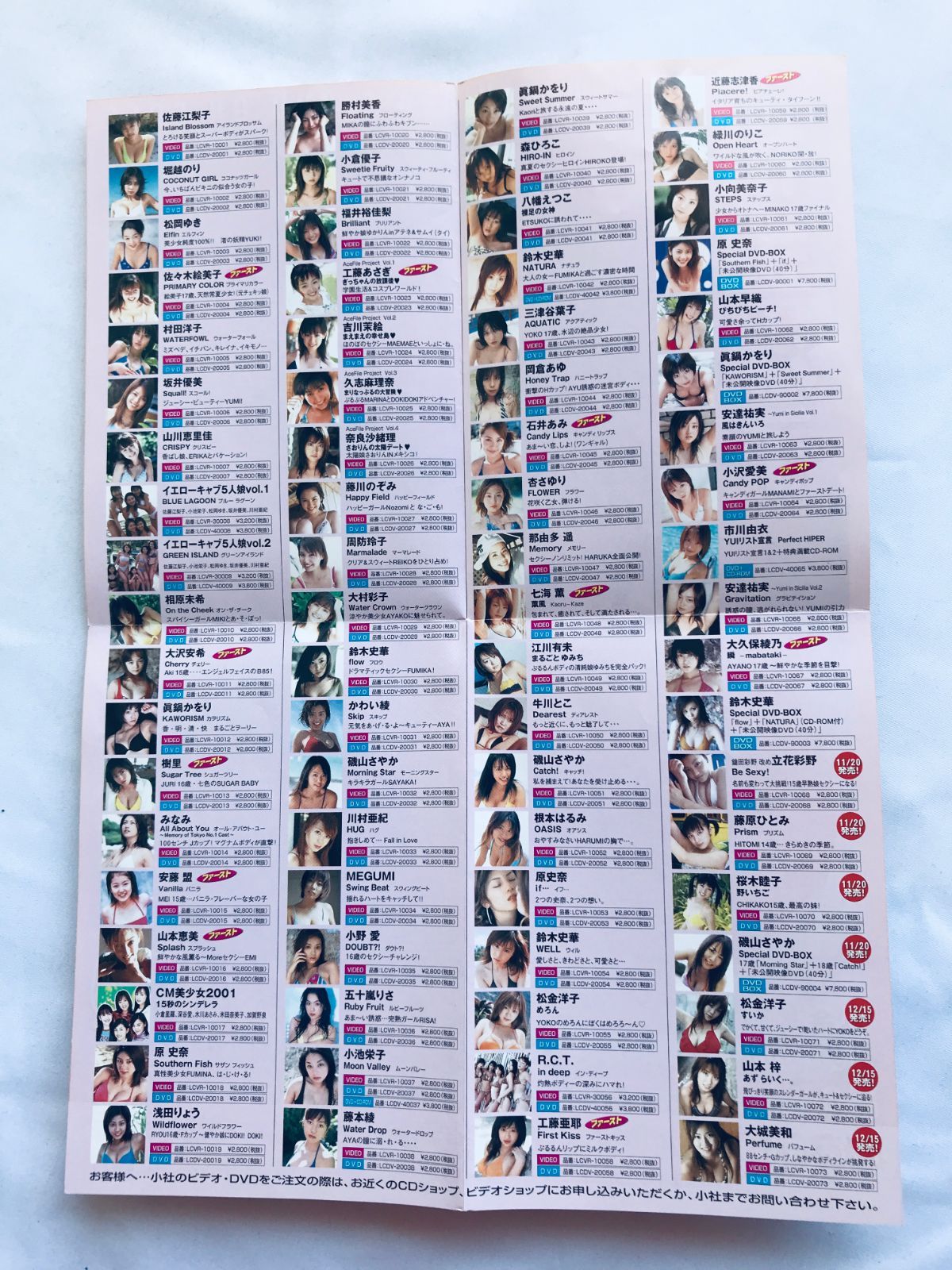松金洋子 松金ようこ スイカ ブックレット チラシ DVD グラビアアイドル : 松金洋子 「スイカ」 DVD 特典映像含む 松金ようこ