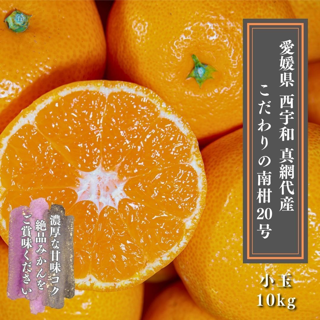現在 予約順次発送中 売れ筋 愛媛みかん こだわりの西宇和 真網代産 甘く美味しい 小玉 ちょっと １０ｋｇ