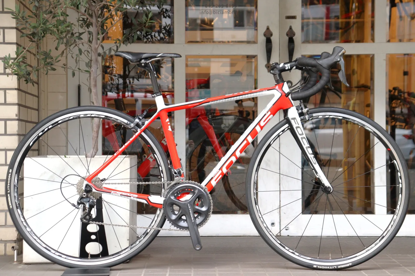 2025年最新】Focus Cayoの人気アイテム - メルカリ