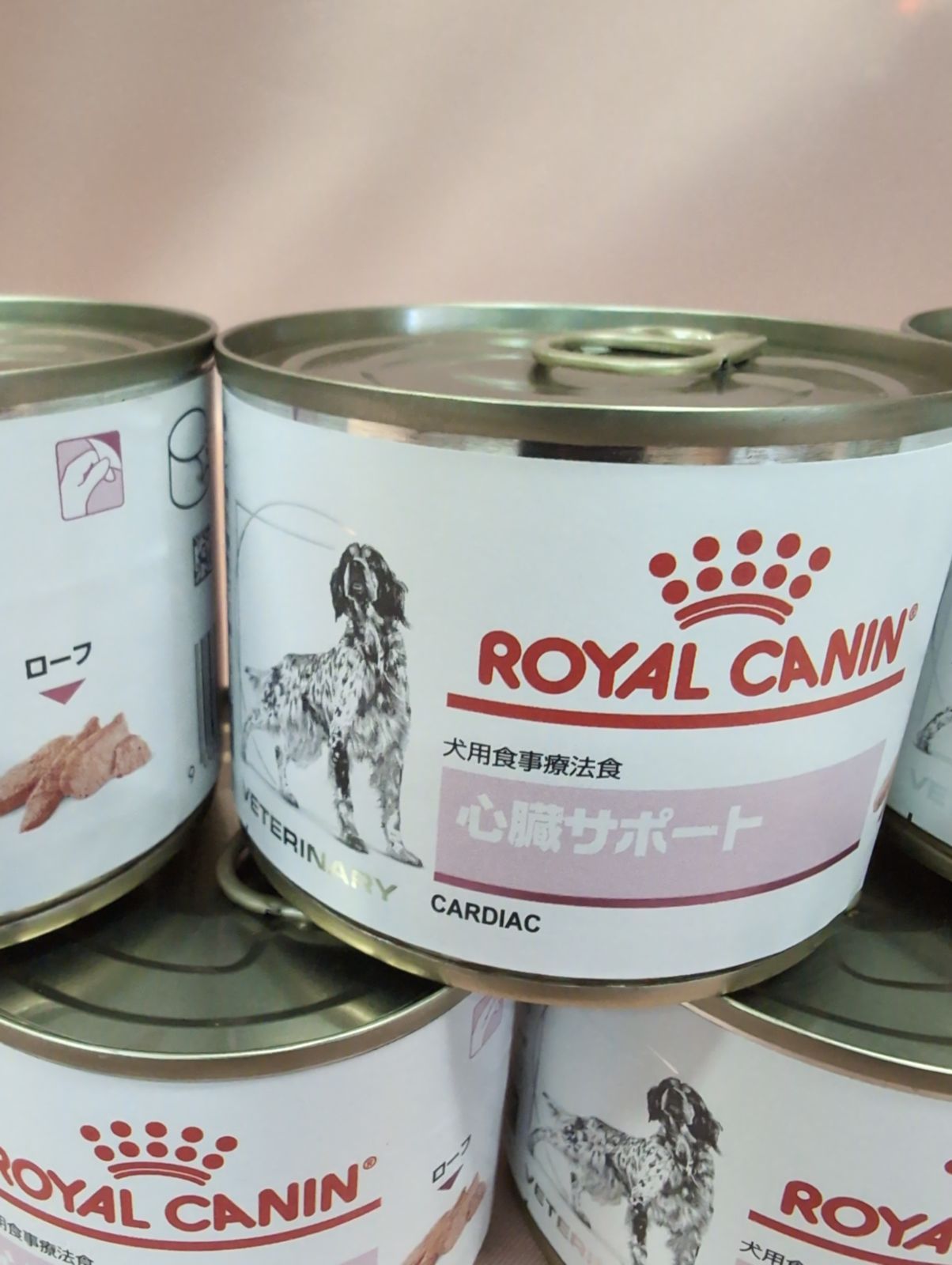 犬用品 ロイヤルカナン 心臓サポート ウェット ローフ 缶詰20缶
