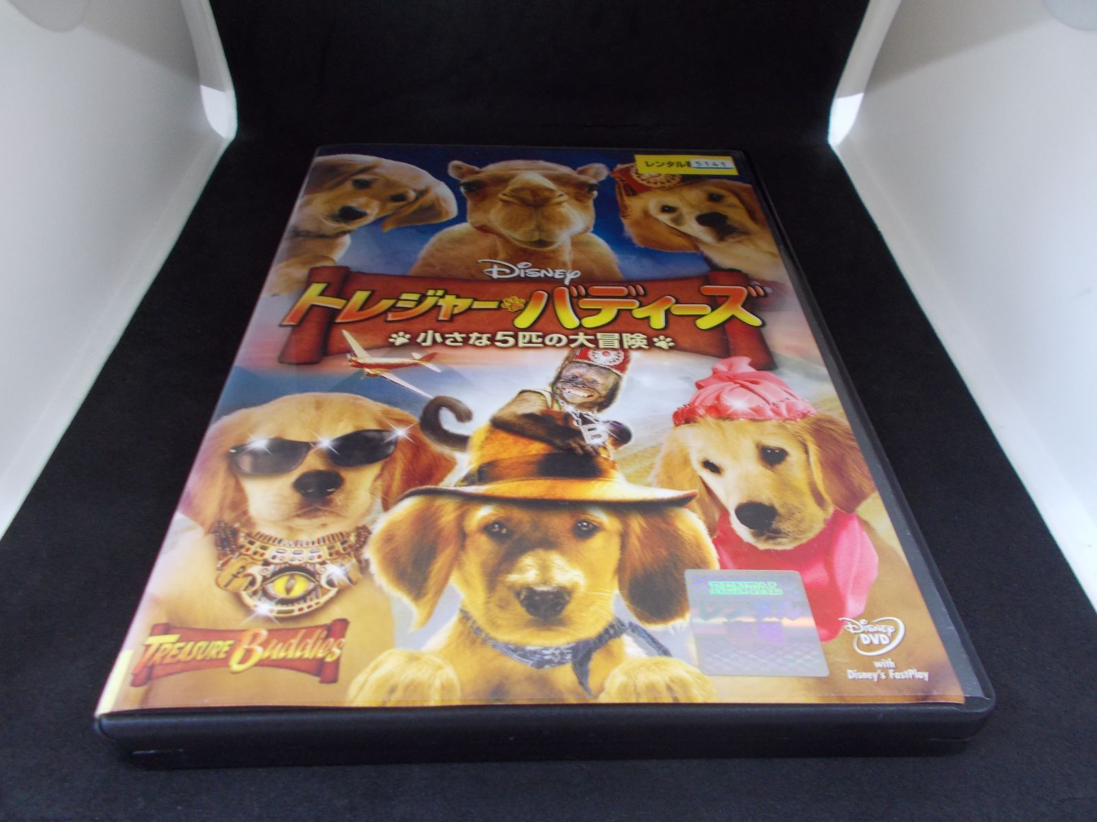 トレジャーバディーズ 小さな5匹の大冒険　レンタル専用　中古　DVD　ケース付き