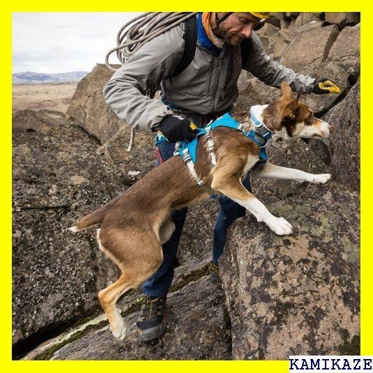 ☆ RUFFWEAR ラフウェア フラッグラインハーネス 1874136 日本 XXS