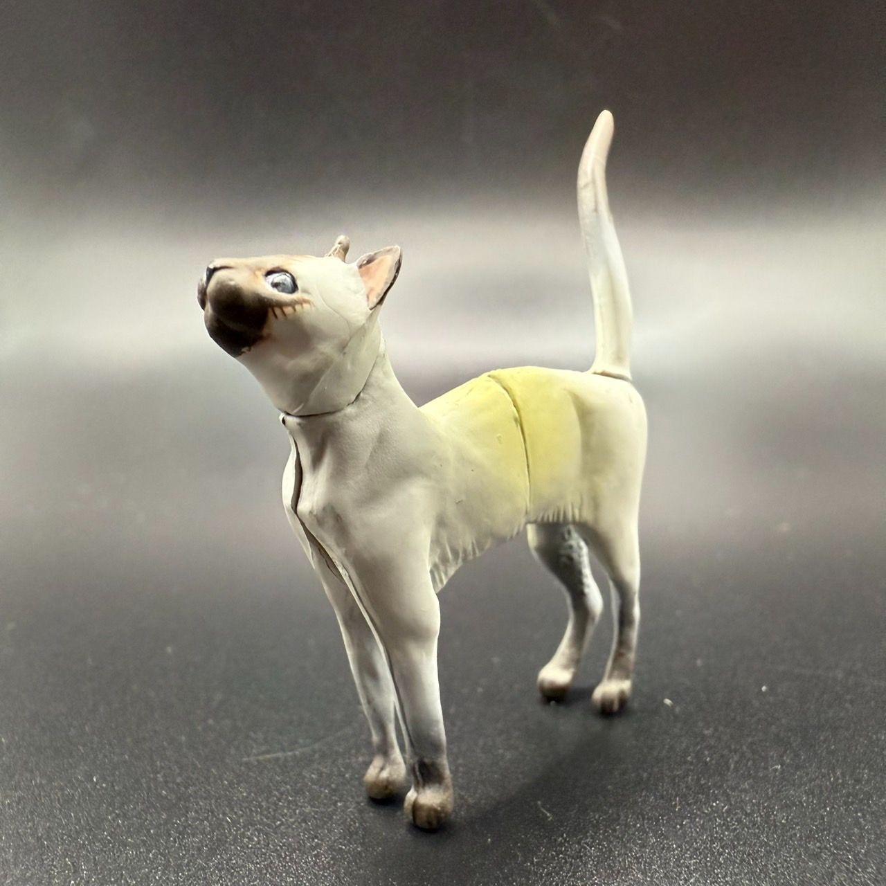 チョコエッグ／日本の動物 第３弾 5点 チョコエッグ 日本の動物 第3弾 アカウミガメ 品 ミニブック