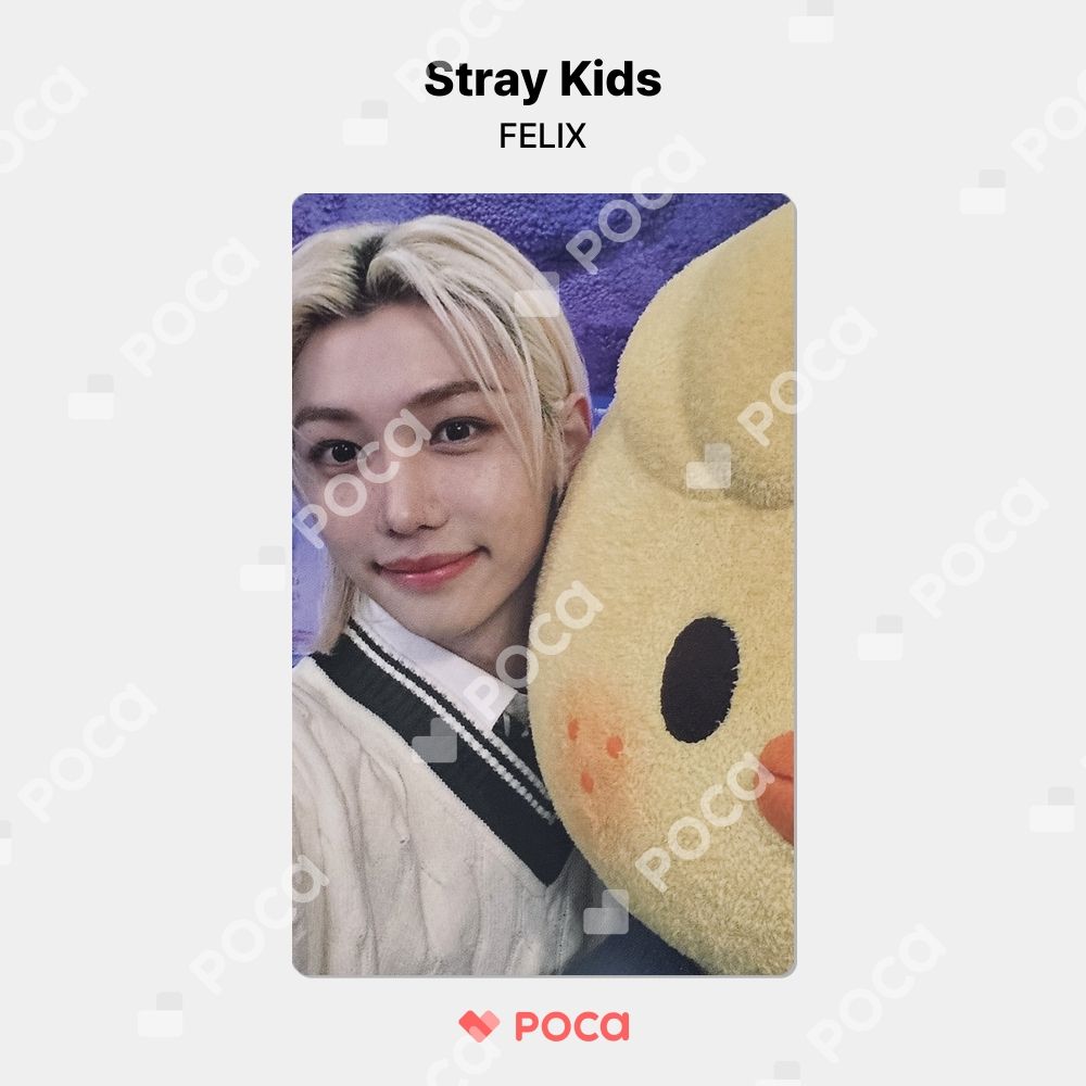 straykids フィリックス スキズ トレカ Stray Kids x SKZOO POP