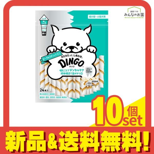 DINGO ディンゴ オーラルスティック ミニ 24本入 10個セット
