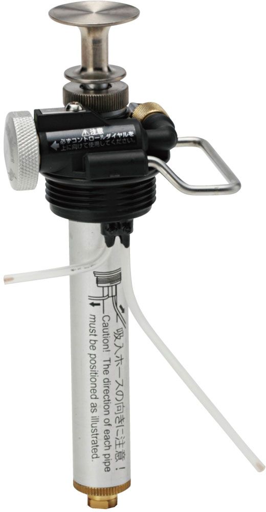 菊水 大型タイプ 実生 鉢植えメルカリ便送料込み 菊水 大株 実生 鉢