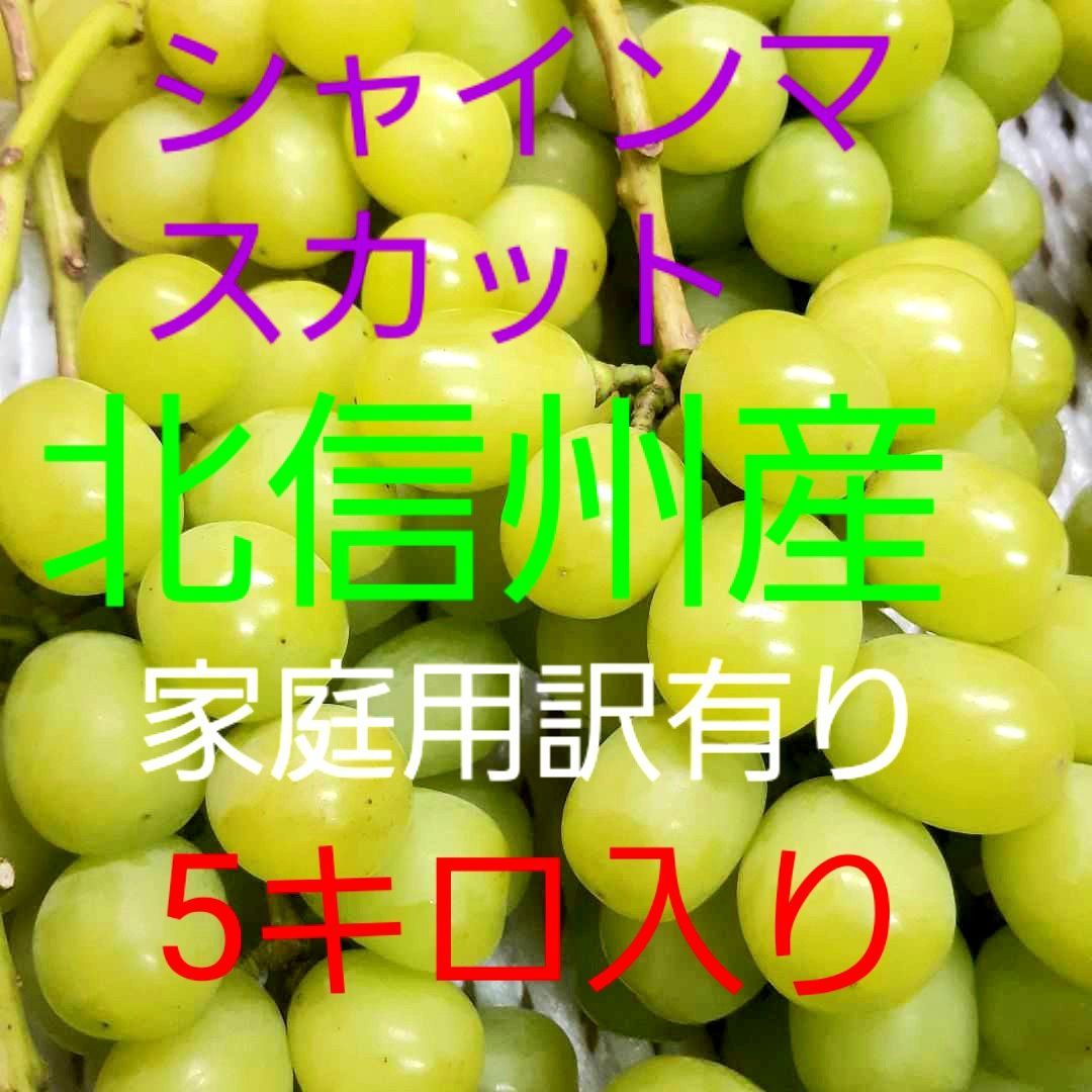 シャインマスカット家庭用訳あり品の、徳用3キロ入りになります。果物